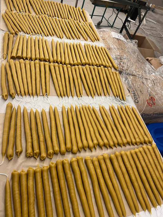 Historien om vårt ljus-release